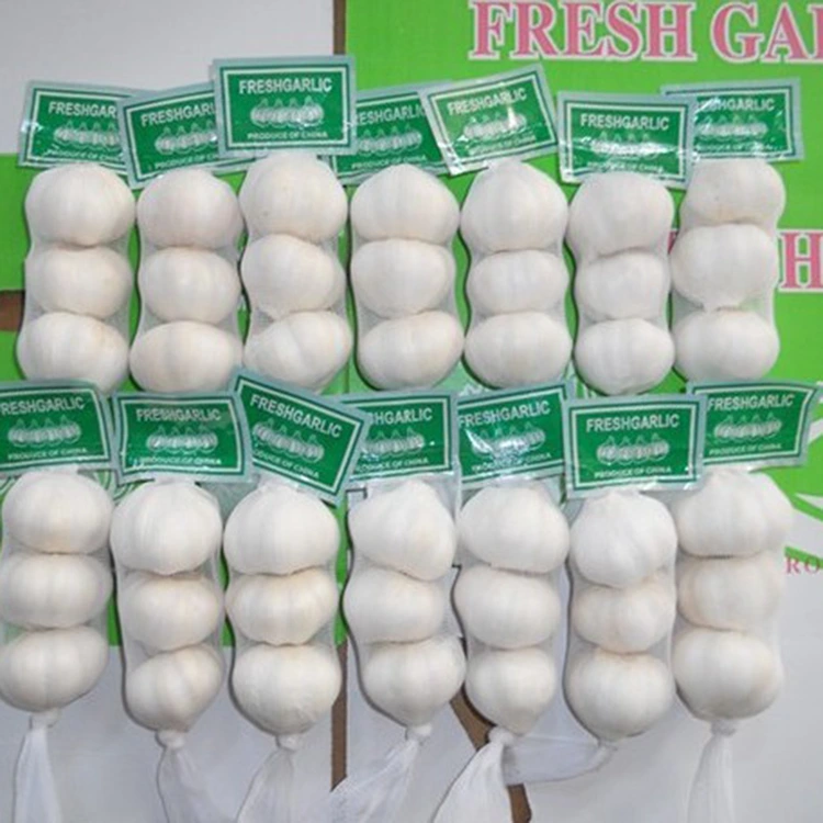 Me yasa Premium Fresh Tafarnuwa Zaɓaɓɓen zaɓi don masu siye masu inganci?