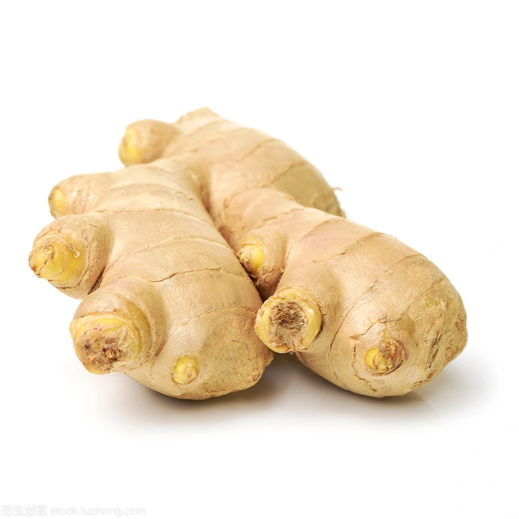 Me yasa Premium Fresh Ginger shine zaɓin da aka fi so don masu siye masu inganci?