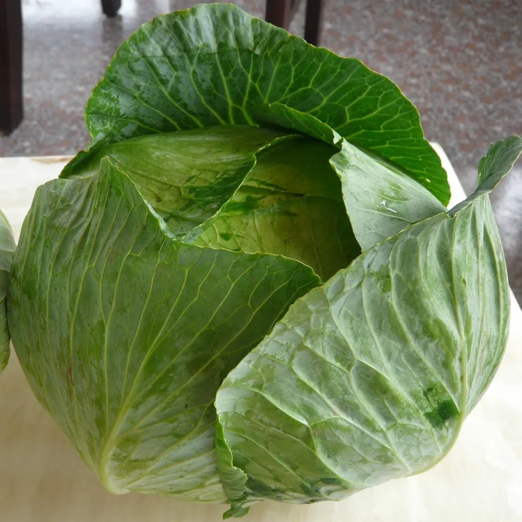 Kirkirar Sabbin Kabeji