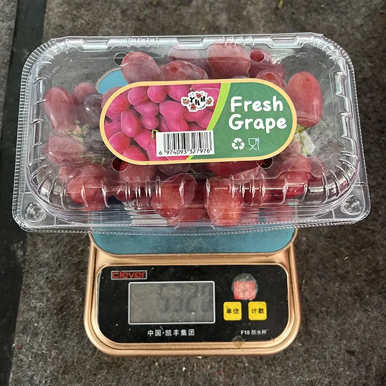 Fitar da Sabo Fresh Crimson inabi mara iri