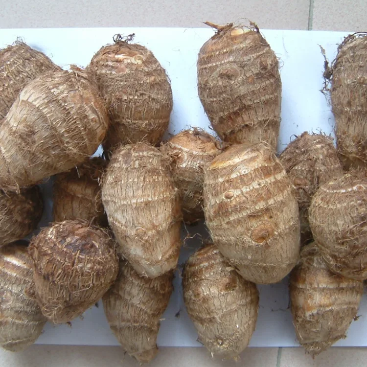 Filin Fresh Taro