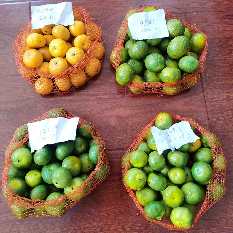Fresh Ruwan Zuma Mandarin