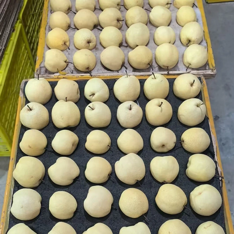 Gong Pears da aka Zaba