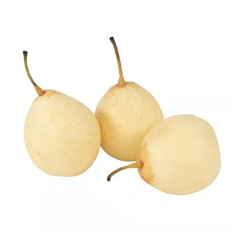 Girbi Sabon Gari Ya Pear