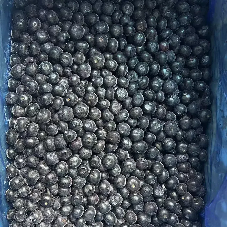 Daskararre Blueberry Premium IQF Blueberries