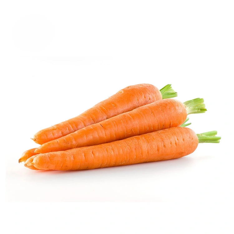Fresh Carrots Wanda Aka Zaba da Hannu