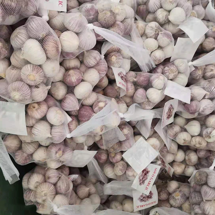 Tafarnuwa guda ɗaya mai inganci