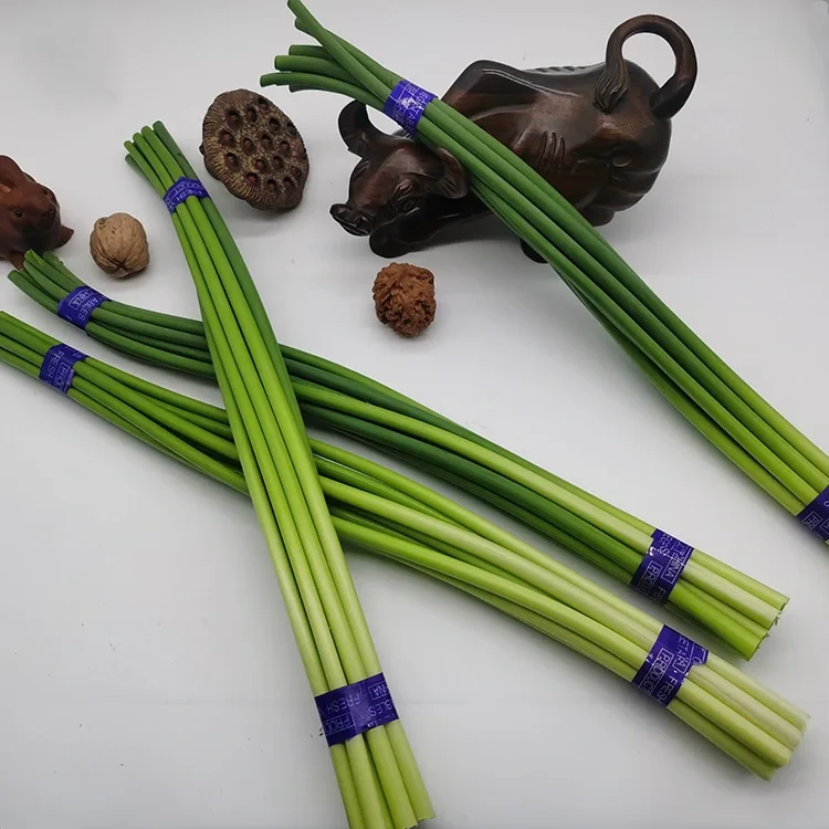 Premium Fresh Tafarnuwa Scapes
