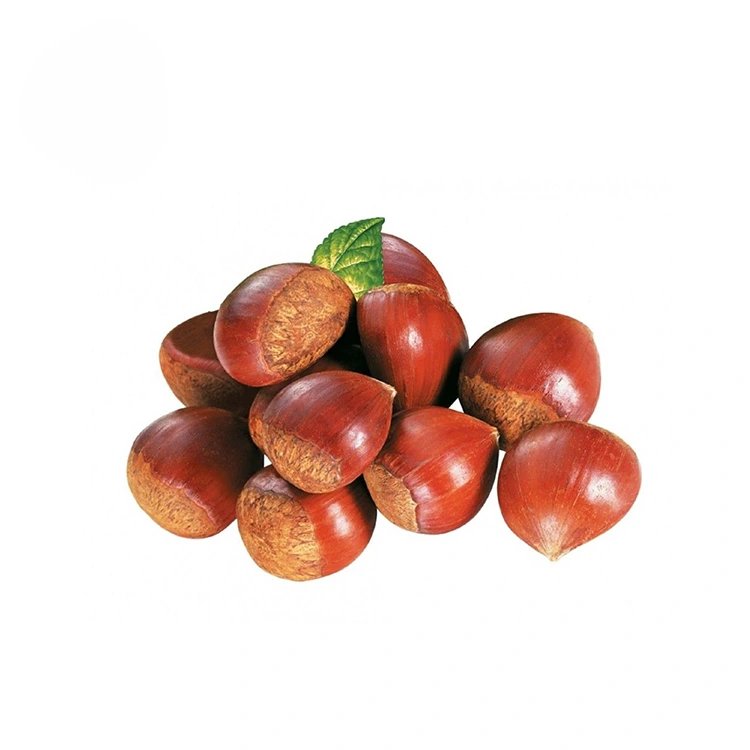 Premium Ingantattun Kirji