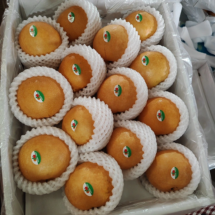 Shingo Pears na Premium