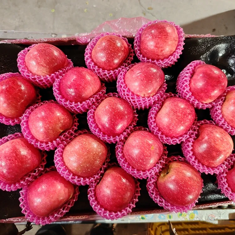 Mafi kyawun Jiguan Apples